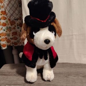 DanDee St. Berneard Dog Magician